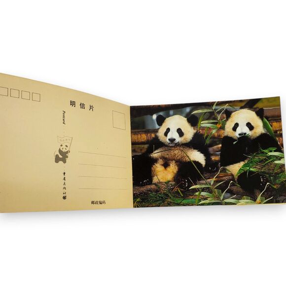 Giant Panda Postcard Book 2006 China 20 Cards Souvenir FLAWED For Crafts - Picture 4 of 11